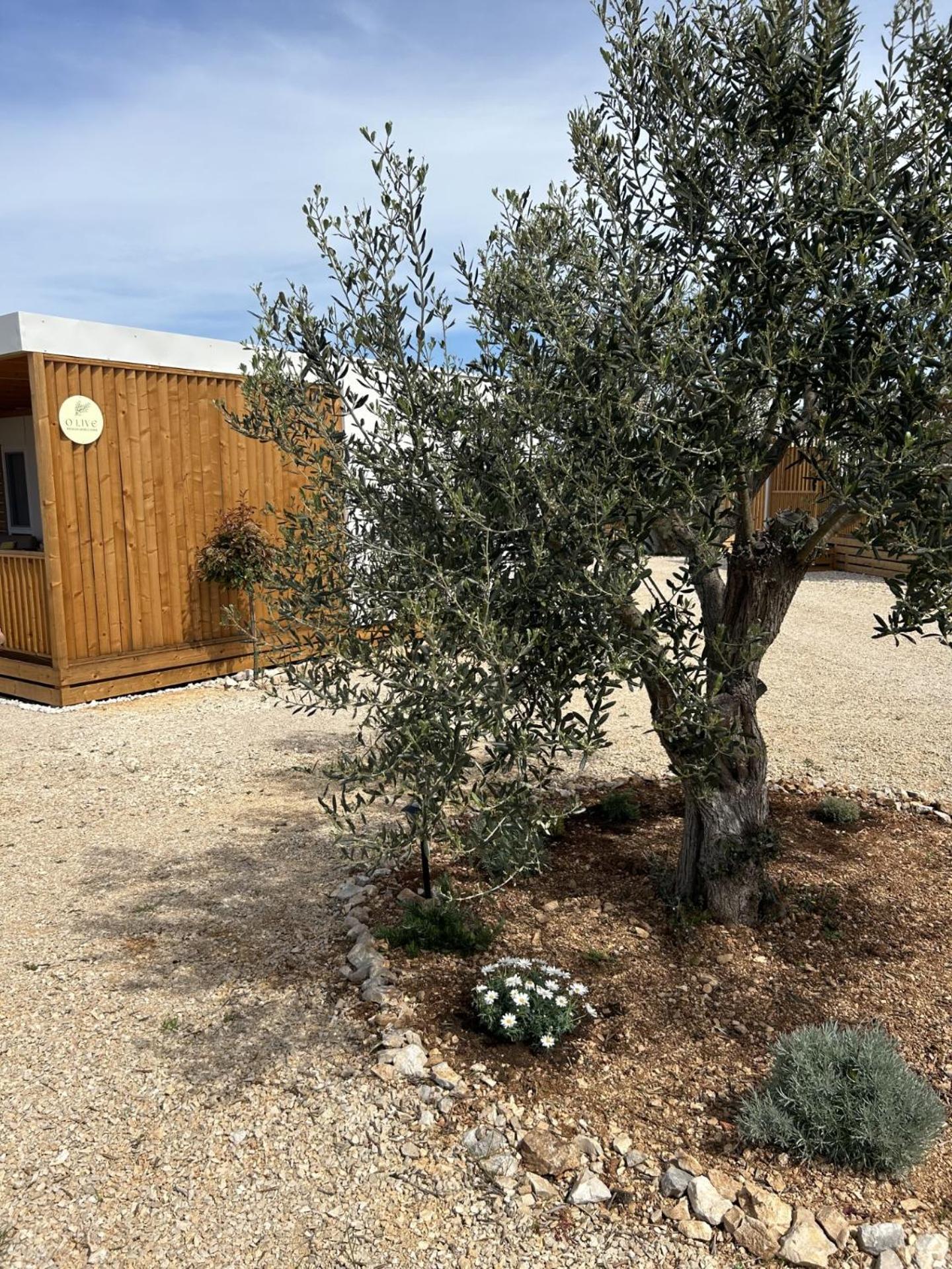 O'Live Premium Mobile Home Drage Buitenkant foto